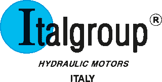 Italgroup Radial Piston Motors AM Fluid Power